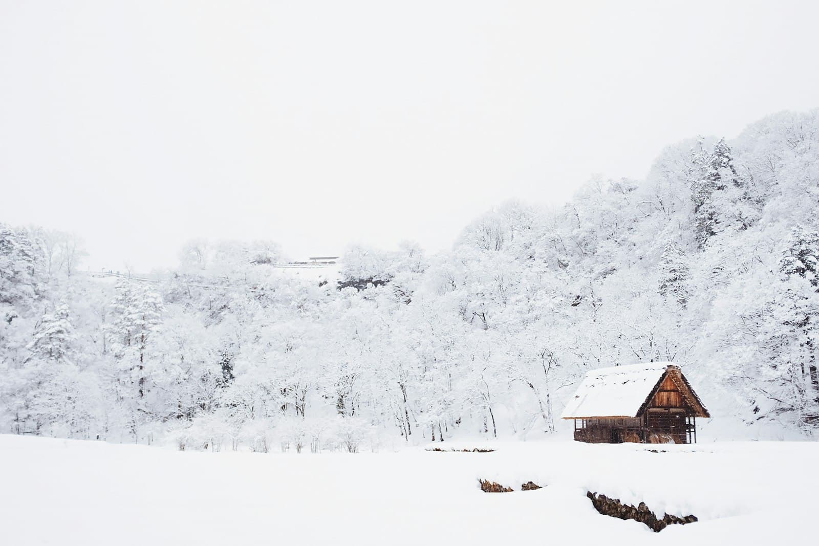 winter